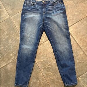 Lane Bryant Women’s Plus Size Skinny Denim Jeans 18R